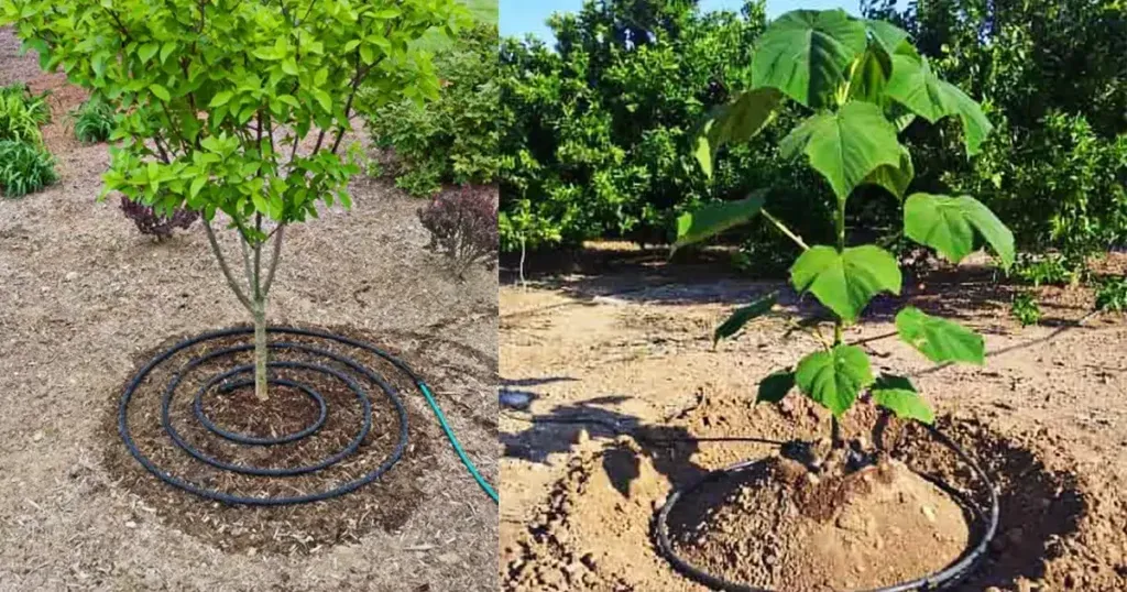 کاشت ۹۸ نهال به مناسبت ۹۸ سالگی بانک ملی ایران