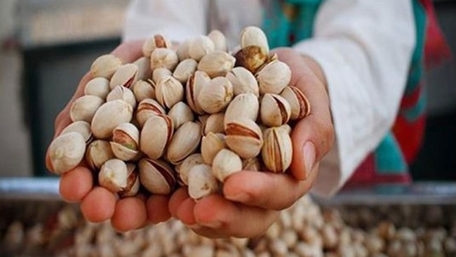 جهش 58 درصدی صادرات پسته ایران به اسپانیا در سال 2022